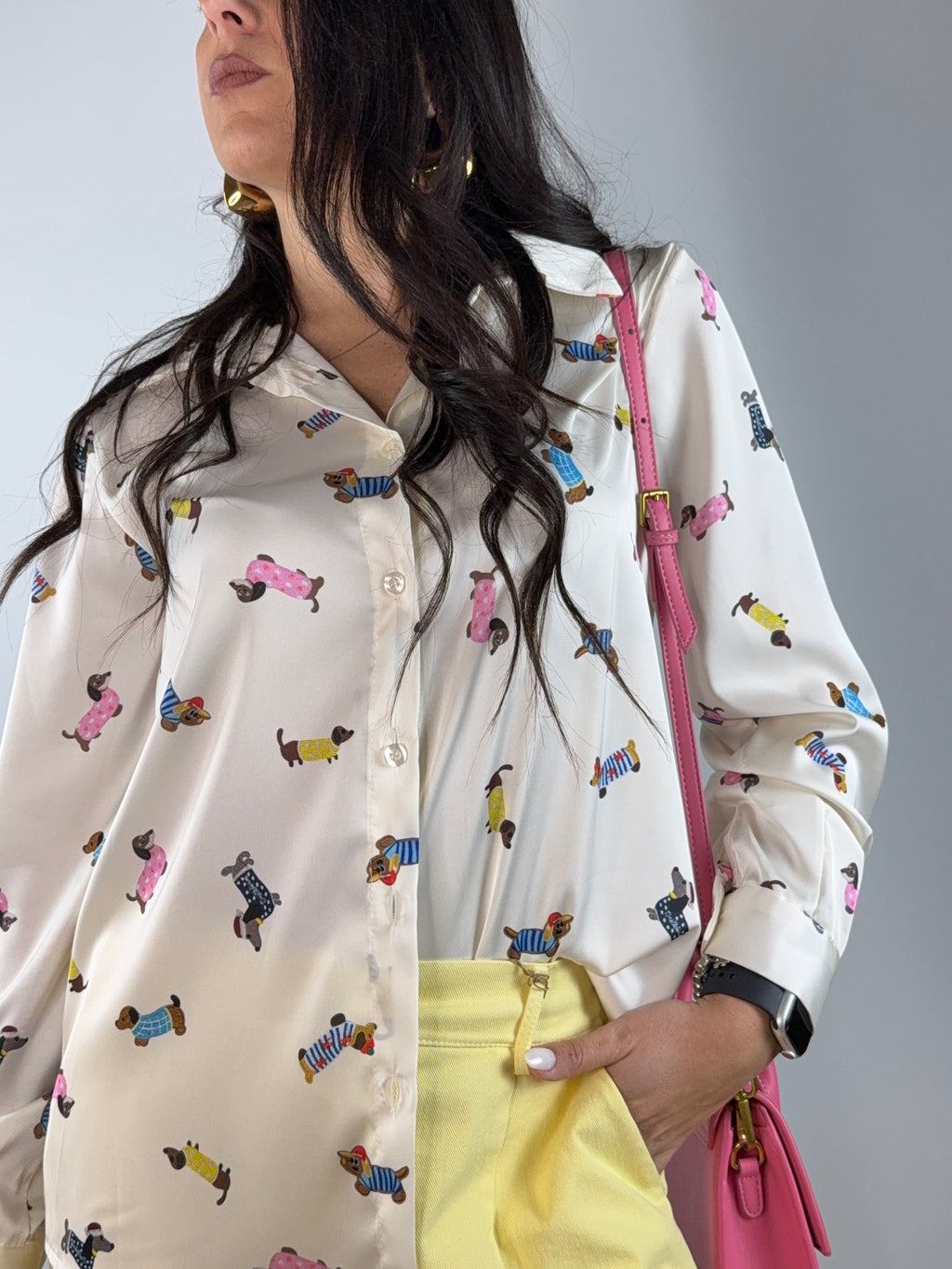 Camicia bassotto